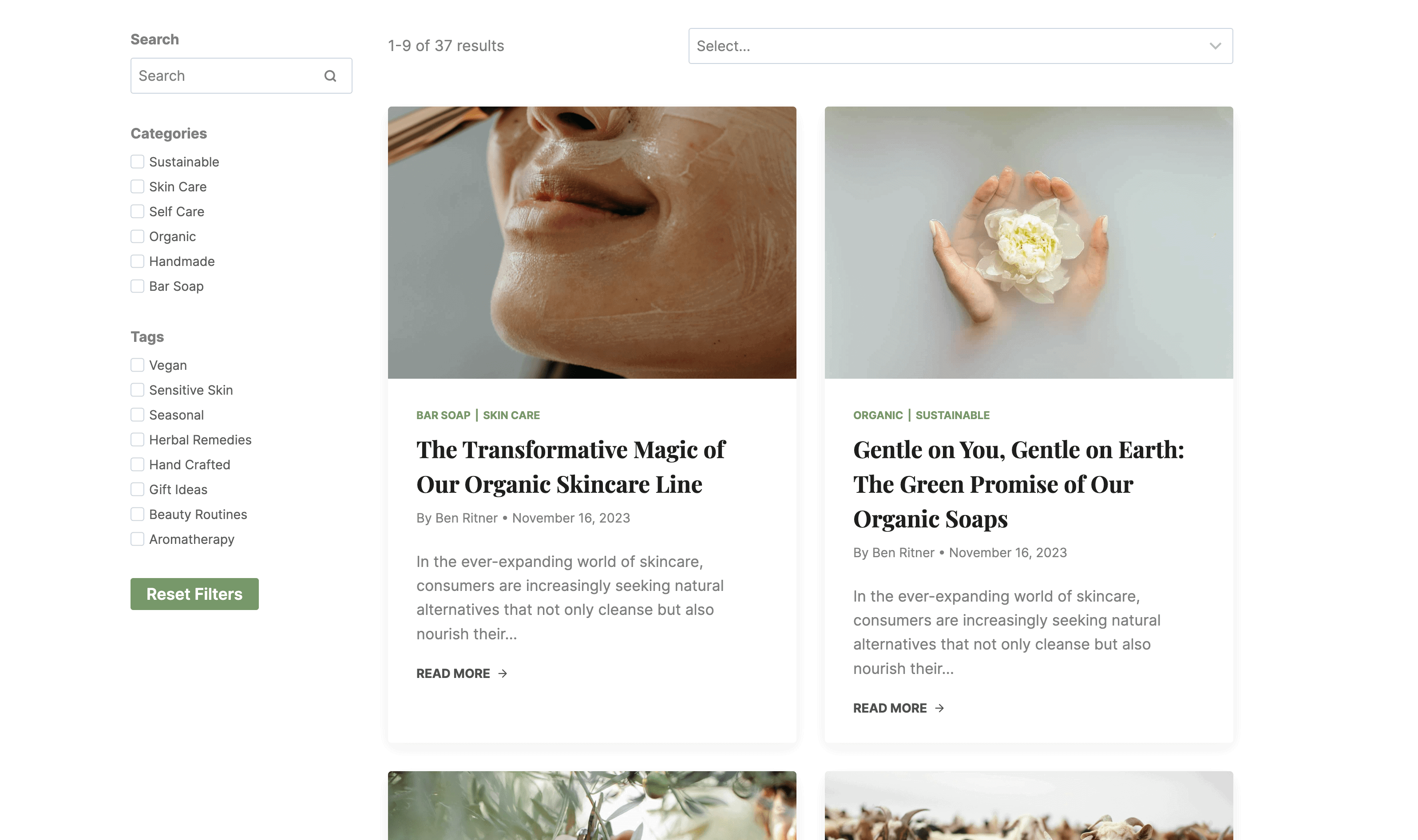 kadence-query-block-sidebar-filters Blog page showing checkbox filtering and search